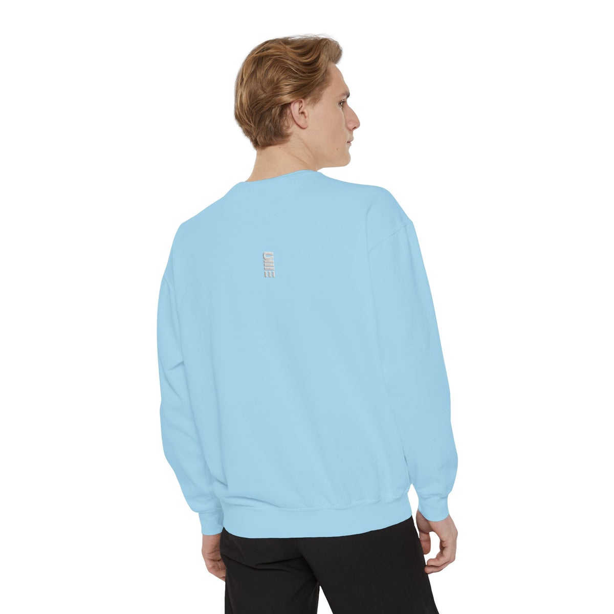 Garment-Dyed Crewneck Sweatshirt — Multi-Color Minimal Graphic