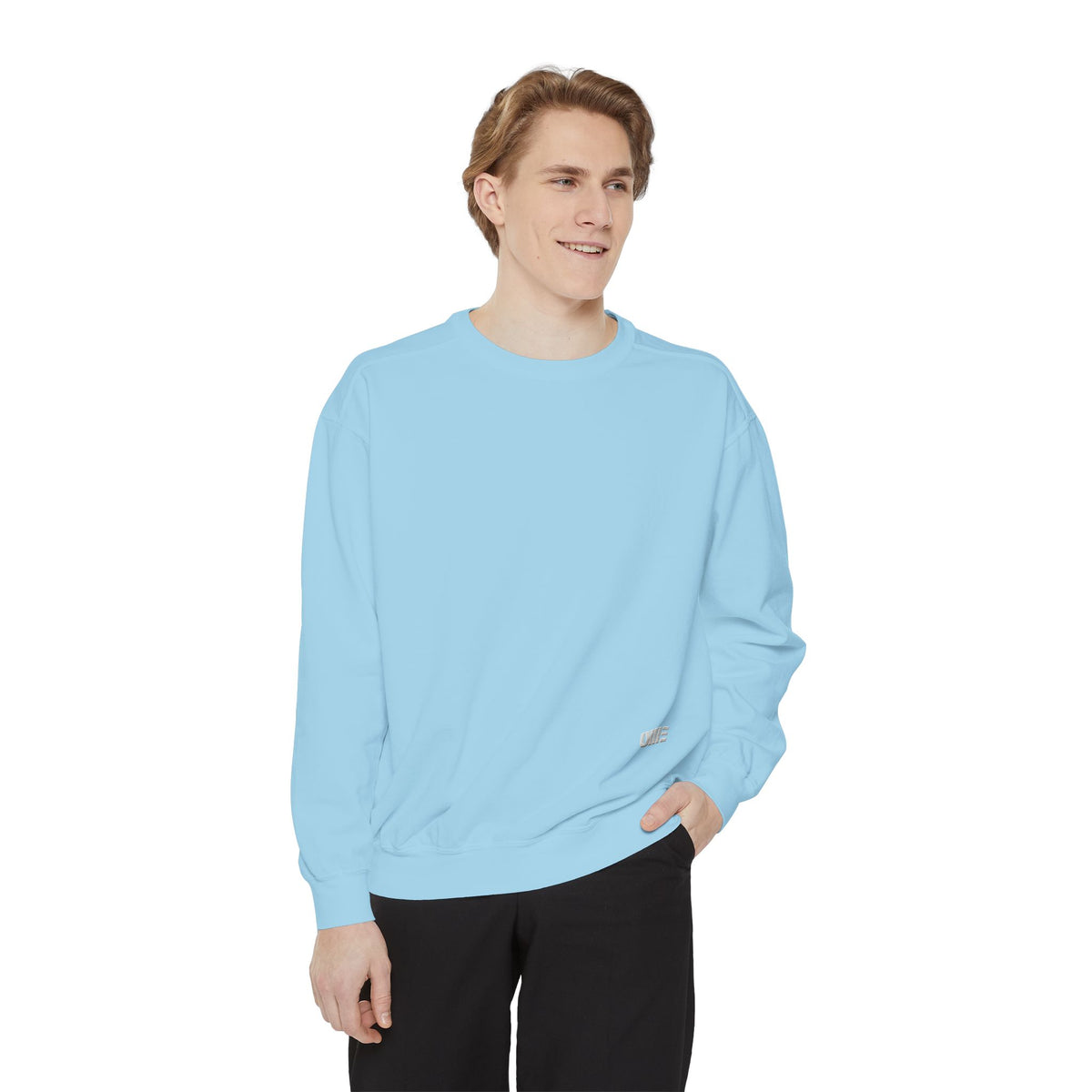 Garment-Dyed Crewneck Sweatshirt — Multi-Color Minimal Graphic