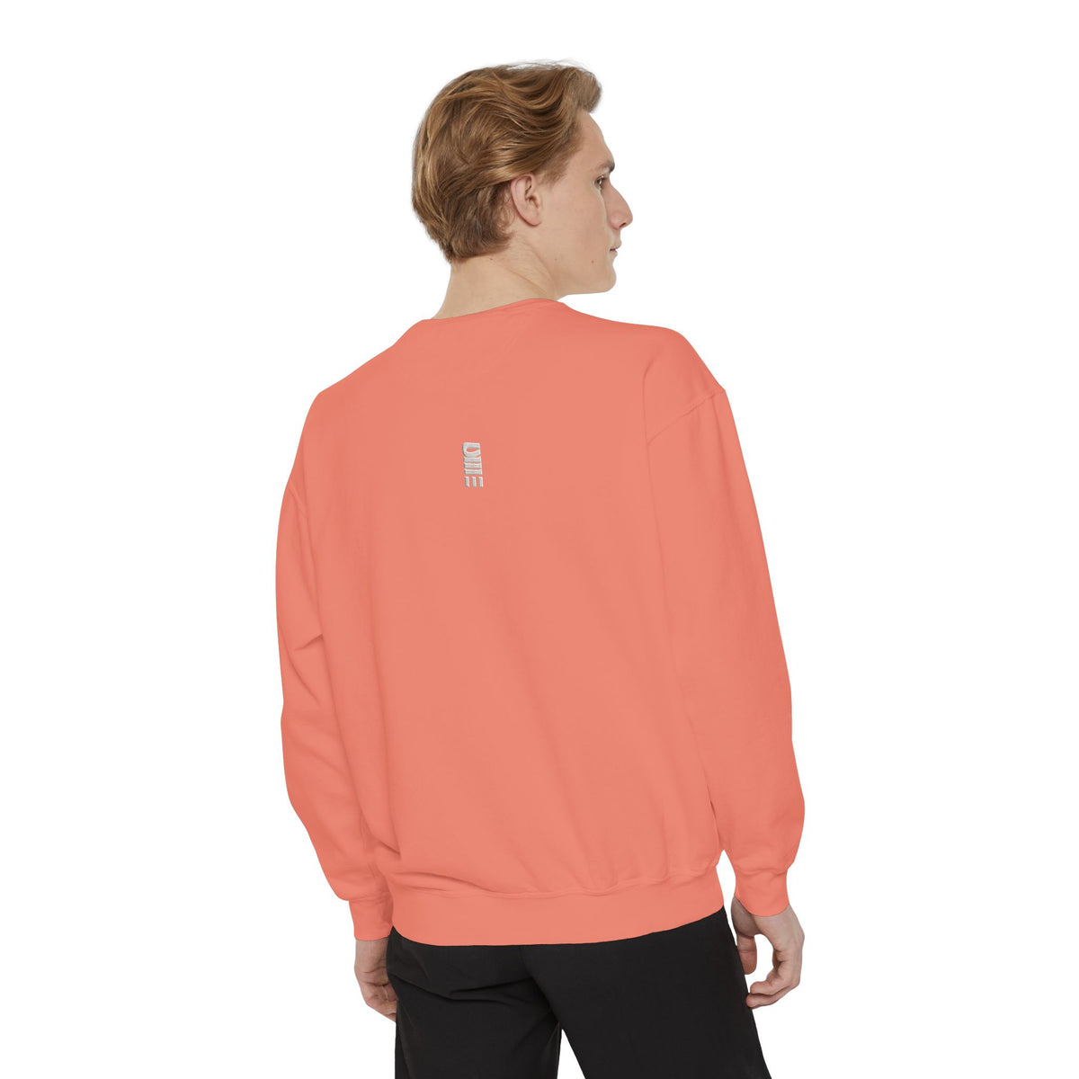 Garment-Dyed Crewneck Sweatshirt — Multi-Color Minimal Graphic