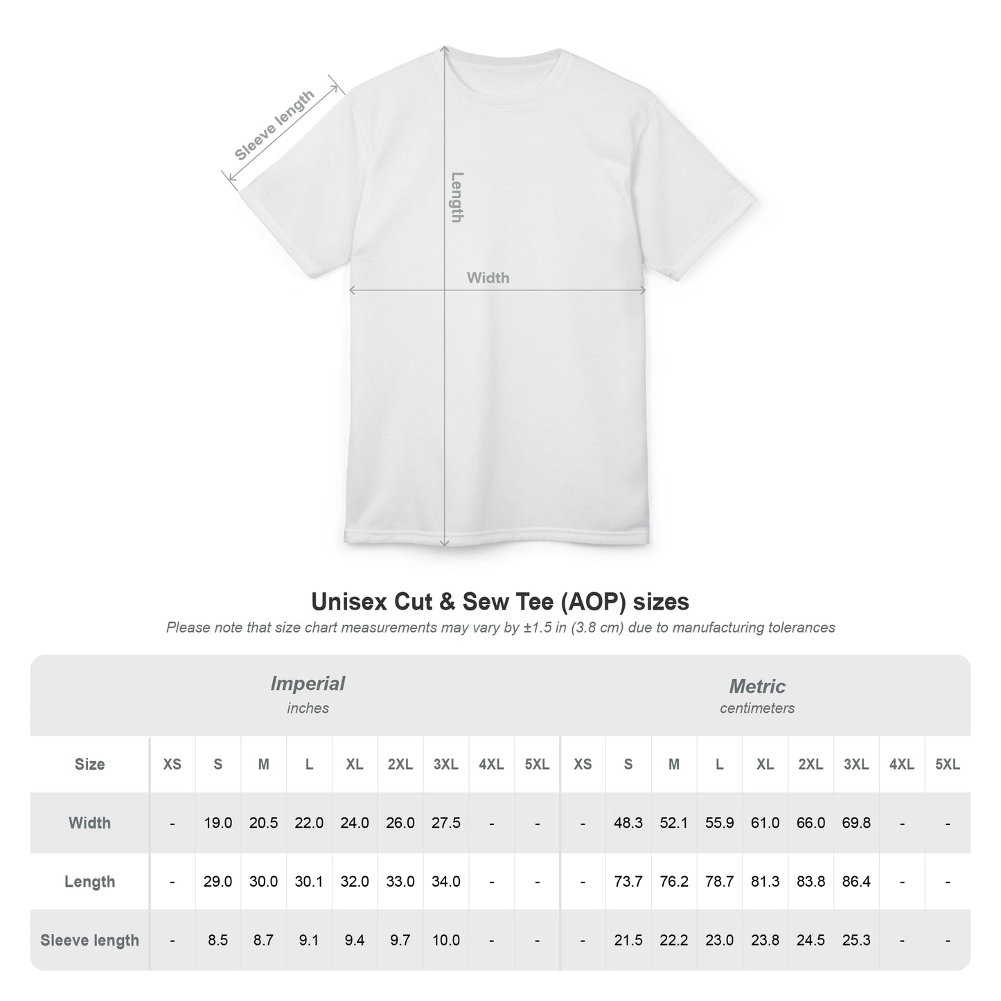 Cut & Sew Tee — Minimal Stripe Shoulder Accent