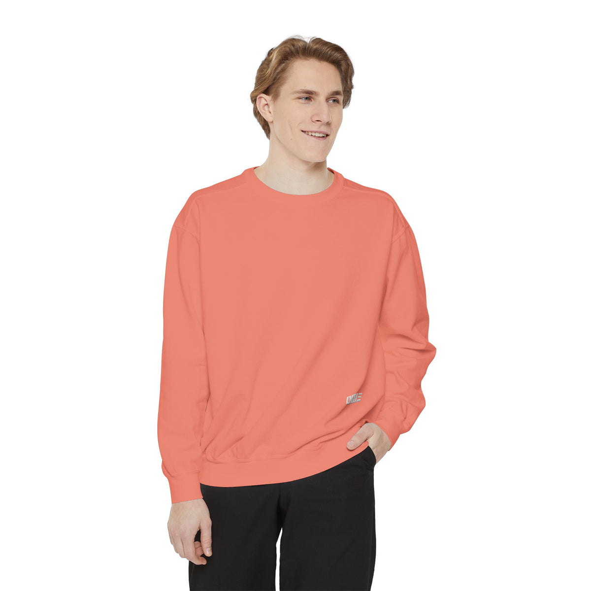 Garment-Dyed Crewneck Sweatshirt — Multi-Color Minimal Graphic