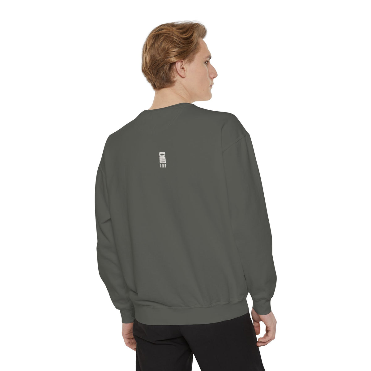 Garment-Dyed Crewneck Sweatshirt — Multi-Color Minimal Graphic