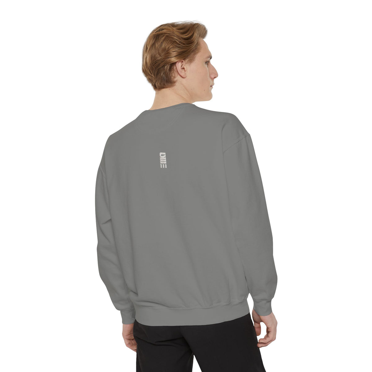 Garment-Dyed Crewneck Sweatshirt — Multi-Color Minimal Graphic