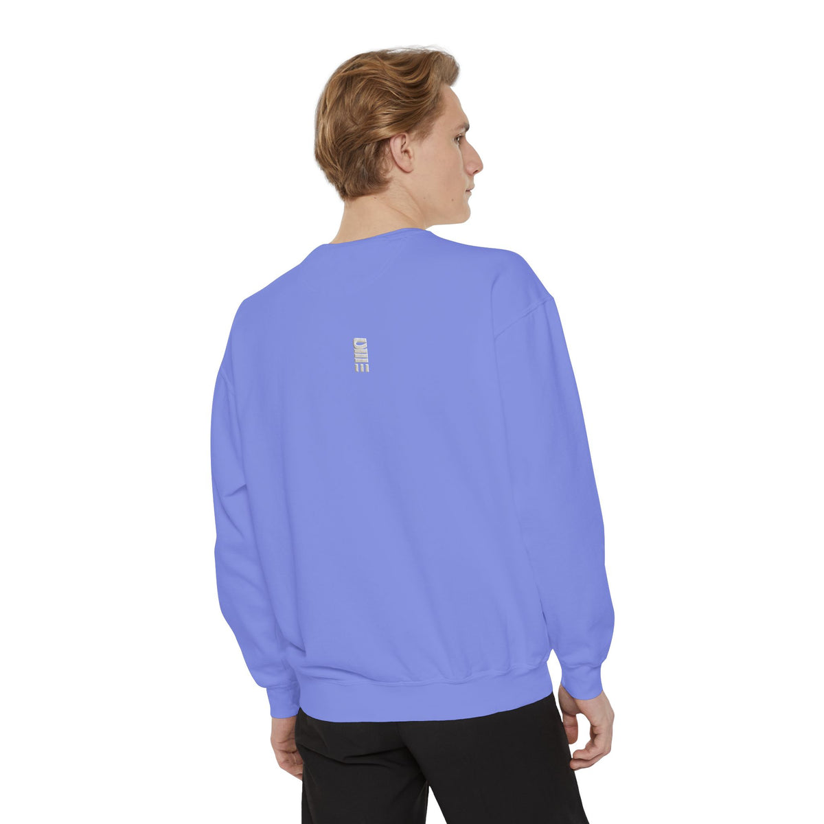 Garment-Dyed Crewneck Sweatshirt — Multi-Color Minimal Graphic