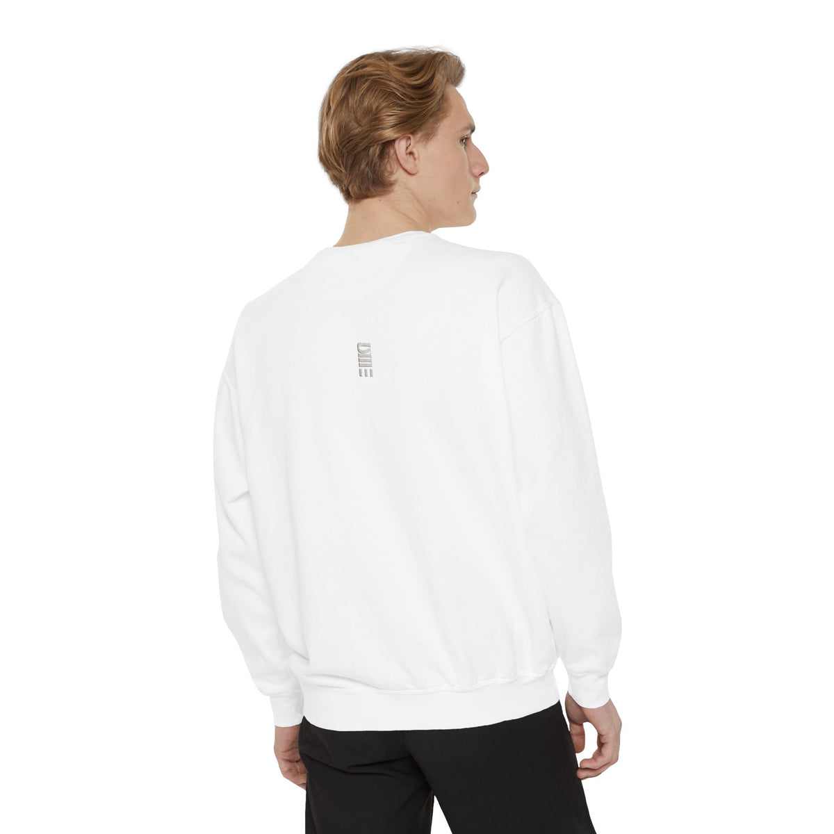 Garment-Dyed Crewneck Sweatshirt — Multi-Color Minimal Graphic