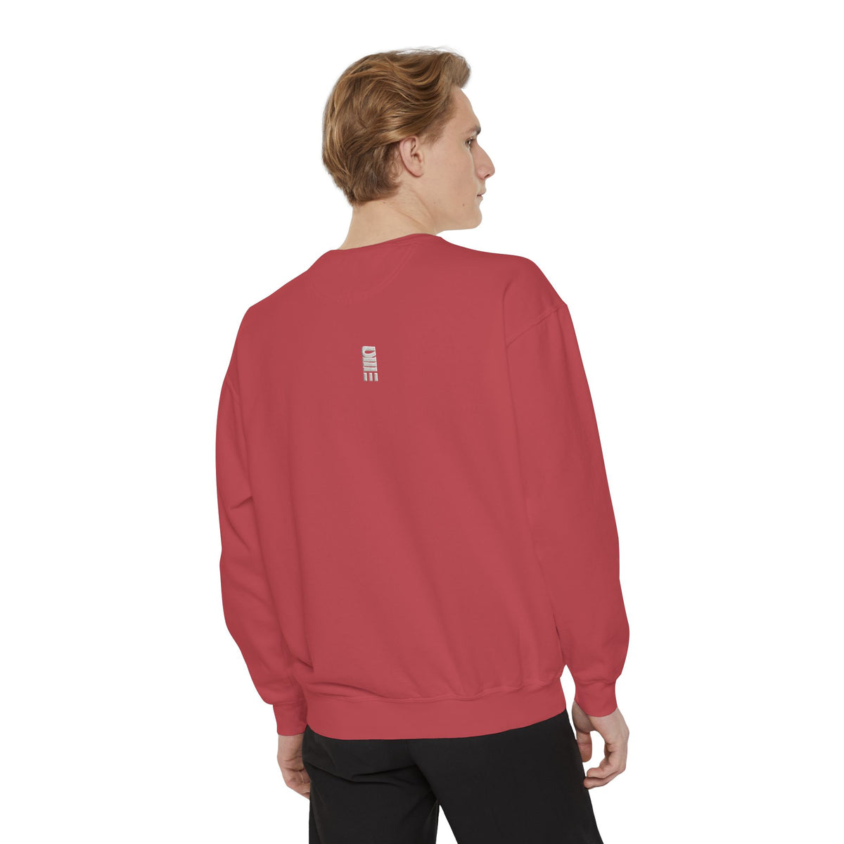 Garment-Dyed Crewneck Sweatshirt — Multi-Color Minimal Graphic