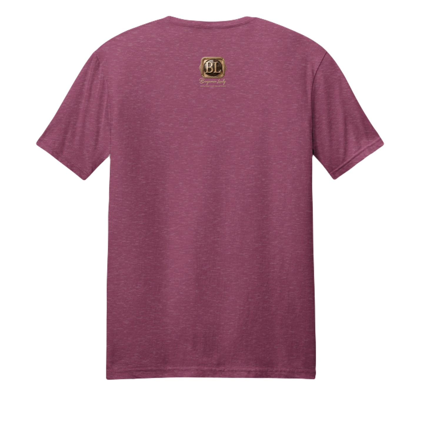 Raspberry Fleck - DM108 - BACK